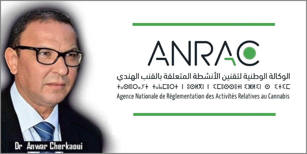 Cannabis médical (CBD) et soins dermatologiques : Entre validation scientifique et structuration du marché marocain
