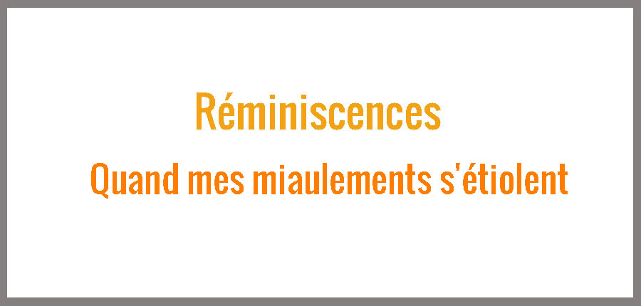 Réminiscences : Quand mes miaulements s'étiolent