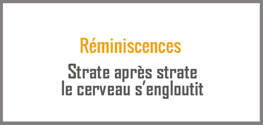 Réminiscences: Strate après strate, le cerveau s’engloutit